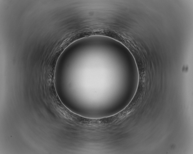 X0000090860916200707271225