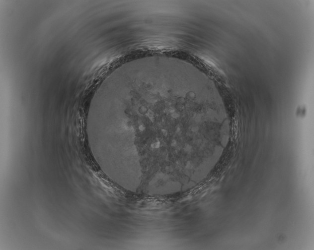 X0000090860917200707271225