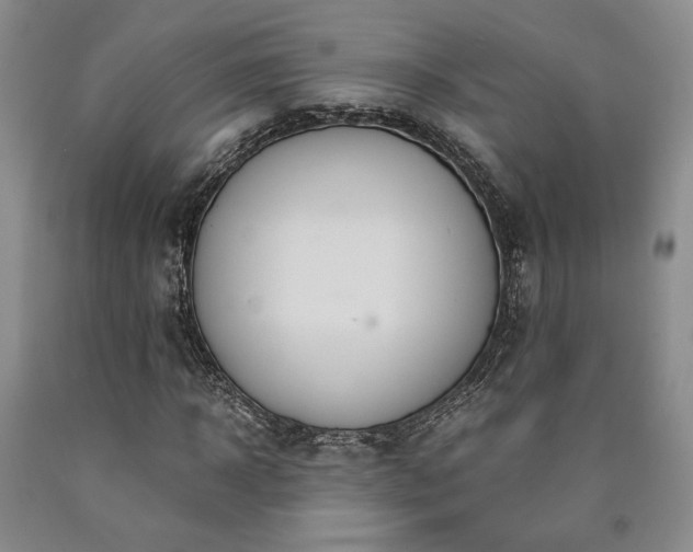 X0000090860918200707271225