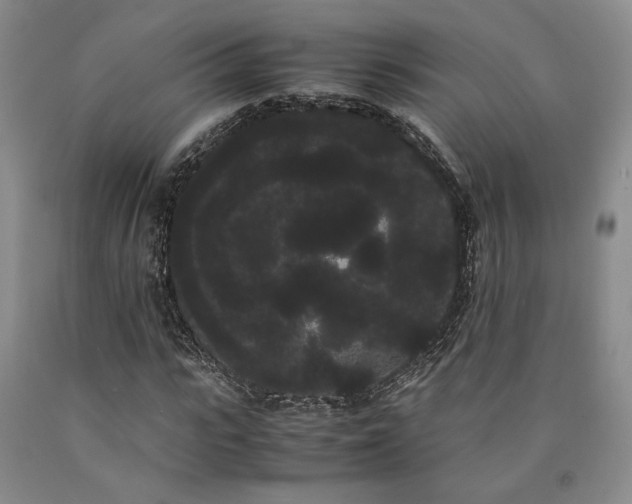X0000090860919200707271225