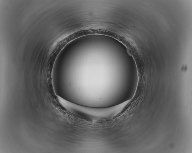 X0000090860920200707271225