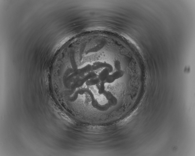 X0000090860921200707271225