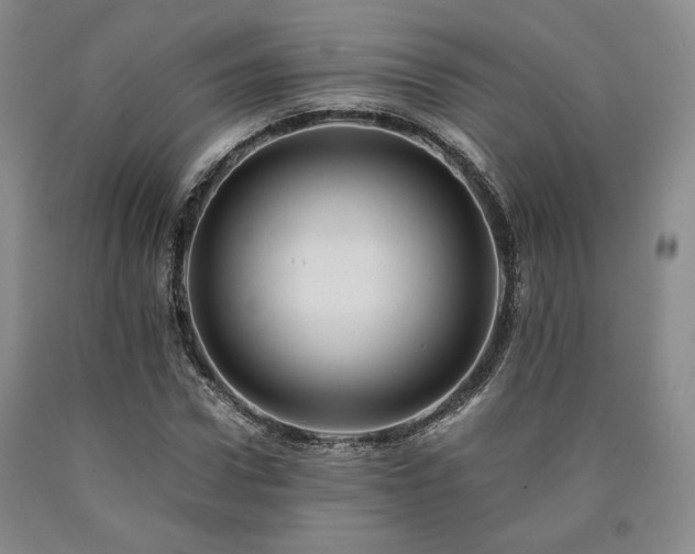 X0000090860922200707271225