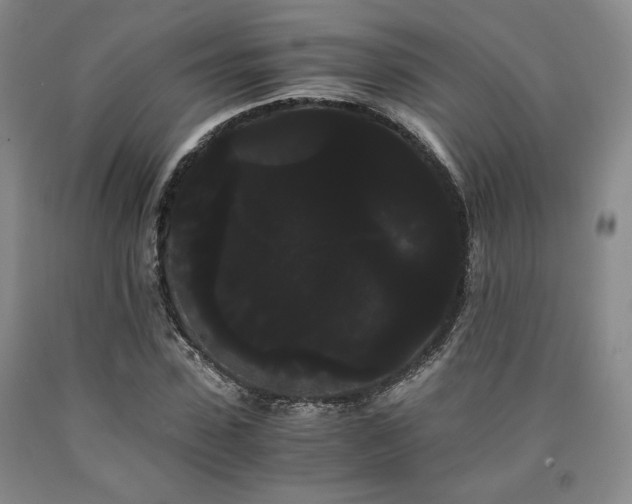 X0000090860923200707271225