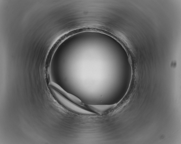 X0000090860924200707271225