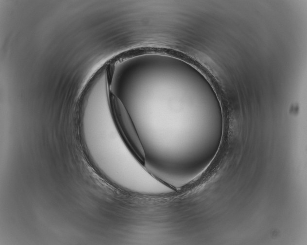 X0000090860926200707271225