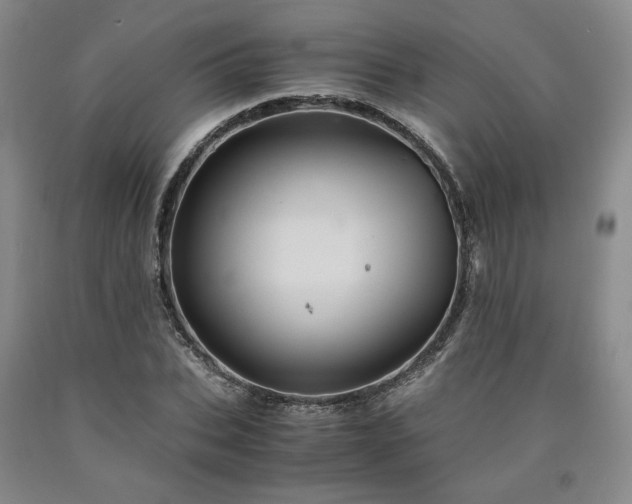 X0000090860927200707271225