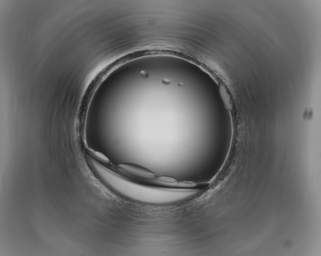 X0000090860928200707271225