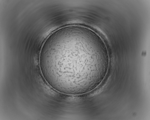 X0000090860929200707271225