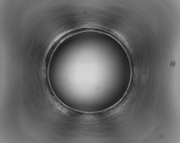 X0000090860931200707271225