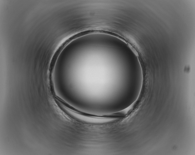 X0000090860932200707271225