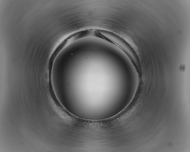 X0000090860934200707271225