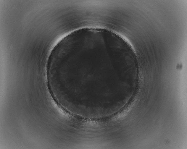 X0000090860935200707271225