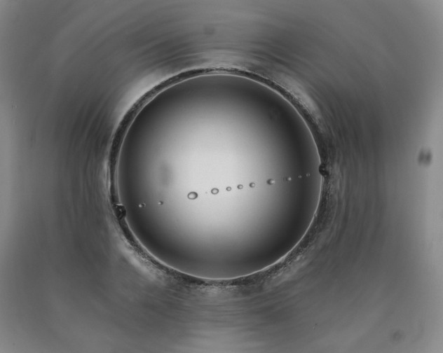 X0000090860936200707271225