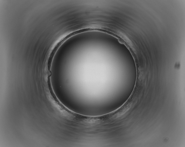 X0000090860939200707271225