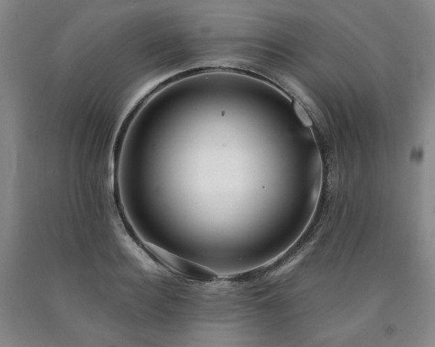 X0000090860940200707271225