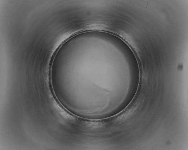 X0000090860941200707271225