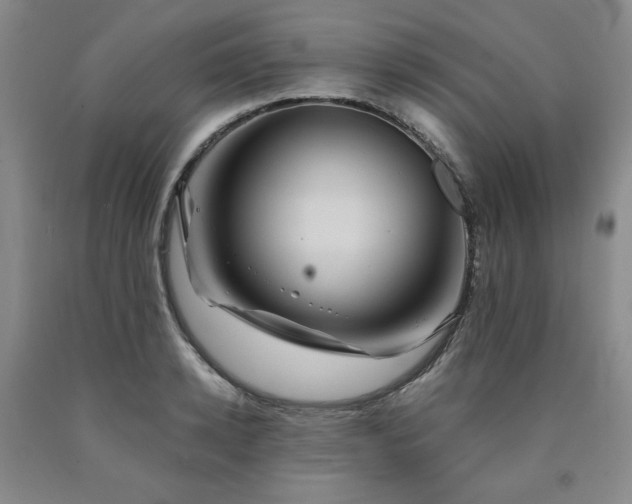 X0000090860942200707271225