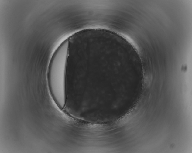 X0000090860943200707271225