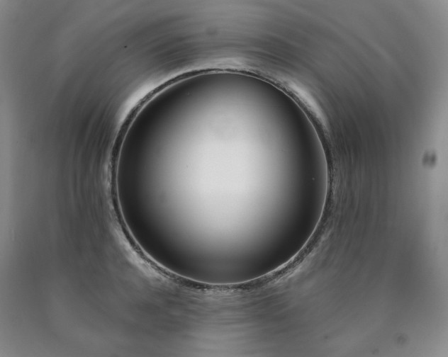 X0000090860944200707271225