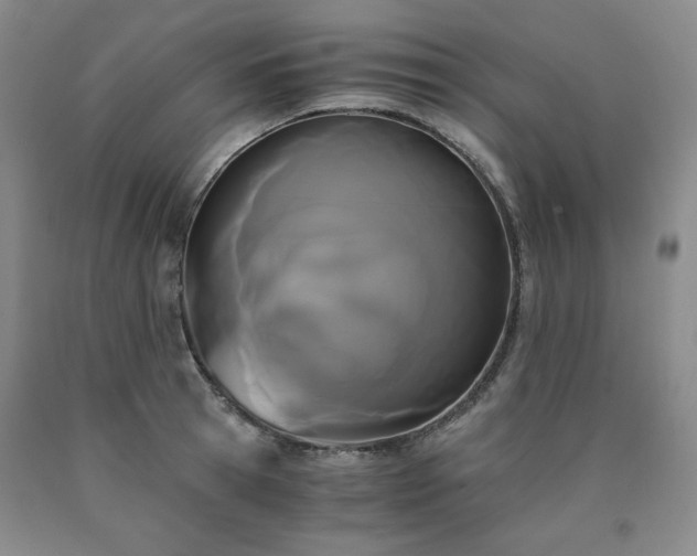 X0000090860945200707271225