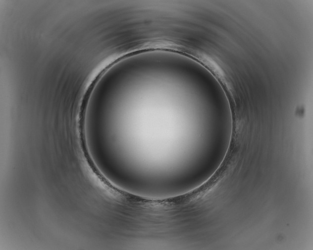 X0000090860947200707271225