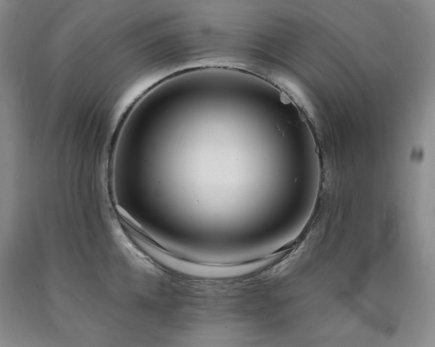 X0000090860952200707271225