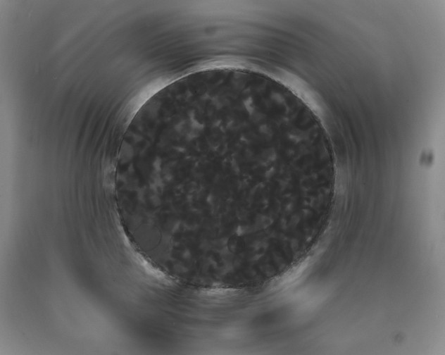 X0000090860953200707271225