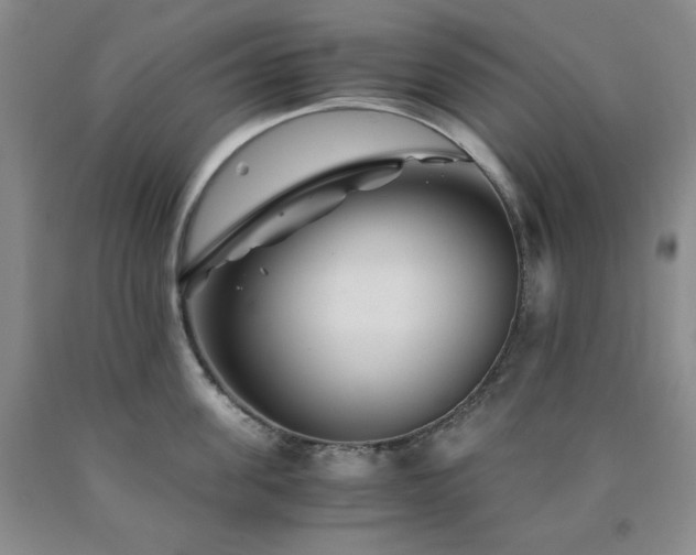 X0000090860955200707271225