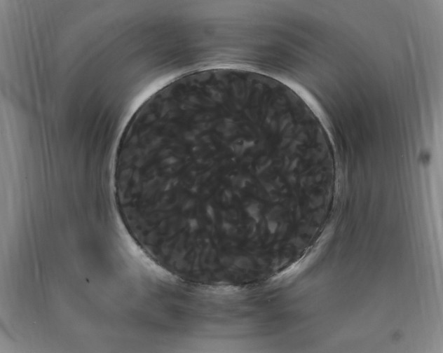 X0000090860957200707271225