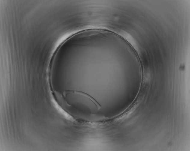 X0000090860958200707271226