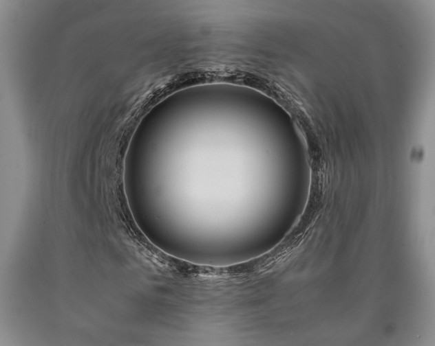 X0000090860961200707271225