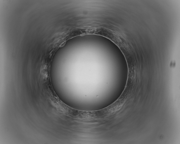 X0000090860962200707271225