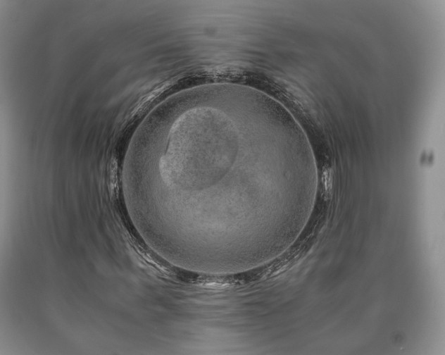 X0000090860963200707271225