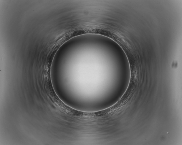 X0000090860964200707271225