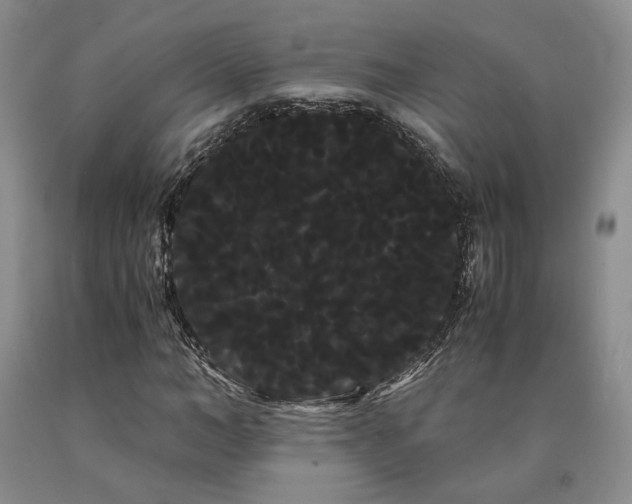 X0000090860966200707271225