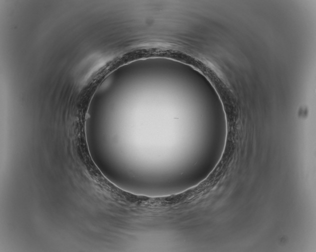 X0000090860967200707271225