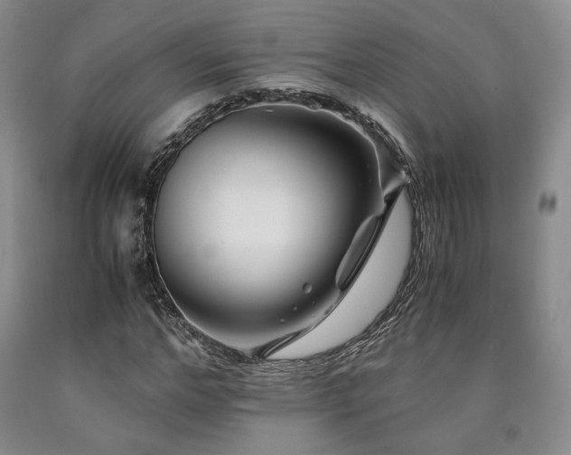 X0000090860968200707271225