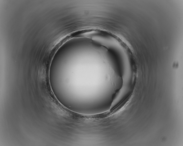 X0000090860969200707271225