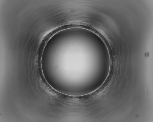 X0000090860971200707271225