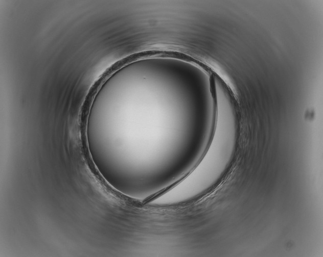 X0000090860972200707271225