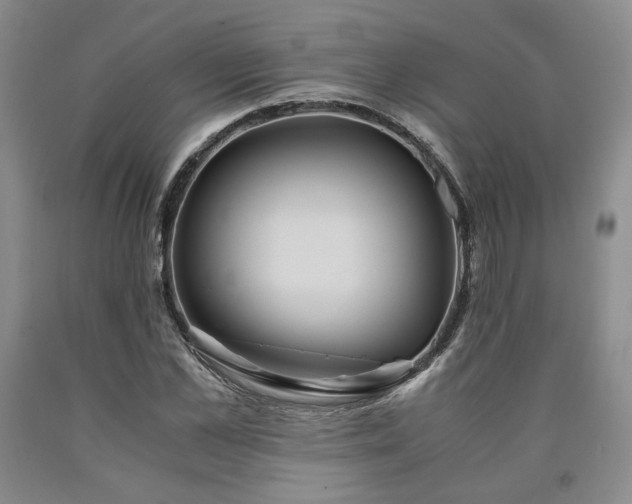 X0000090860973200707271225