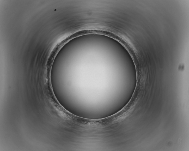 X0000090860974200707271225