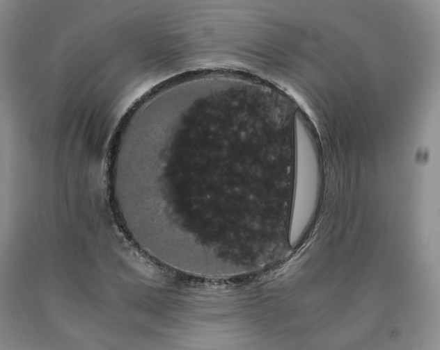 X0000090860975200707271225