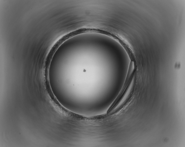 X0000090860976200707271225