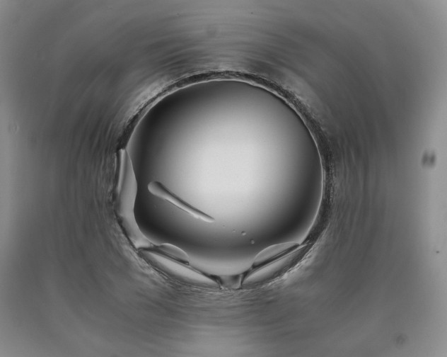 X0000090860977200707271225