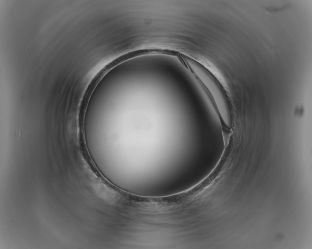 X0000090860980200707271225