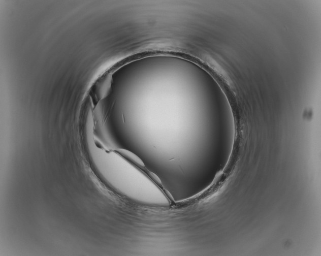 X0000090860981200707271225