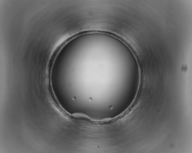 X0000090860982200707271225