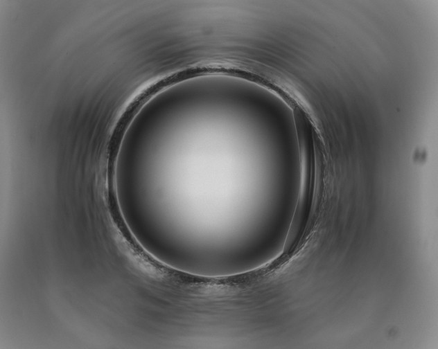 X0000090860984200707271225